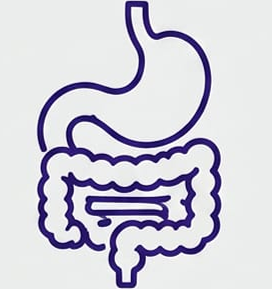 Gastroenterology