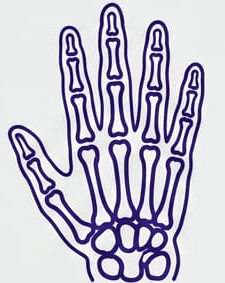 Rheumatology